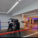 바이오 복싱짐 이미지