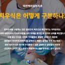 아르미 티스토리