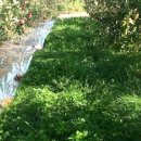 미루농원 이미지