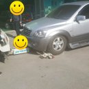 영덕모터스 이미지