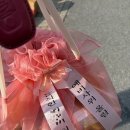 가온청과