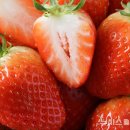 경남할인마트 이미지