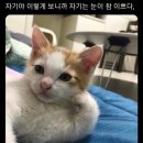 6월 일상 - 3 (나이키, 쿼터브키링, 쓰리투에이티, 킨더살몬, 렉토, 레인부츠)