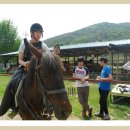 삼랑진고등학교 이미지