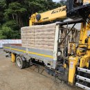 거성상사 이미지