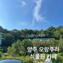 가득한정원 | 양주 오랑주리 카페 방문, 포토 스팟 가득한 대형 정원 카페 후기