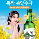 제주 이미지
