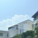 아방스이불.커텐 | 제주 럭셔리 숙소 리뷰: 그랜드조선 힐스위트 숙박 & 조선 아리아 런치뷔페 & 수영장 이용후기