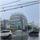 스타짐23 이미지