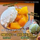 메가커피 말차 젤라또 팥빙 vs. 스타벅스 애플망고빙수 컵빙수 비교후기(가격, 칼로리, 맛 비교)