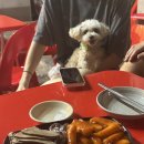 명품빨강오뎅