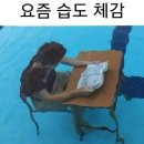 라뷰 - 가평군 수목원로 218 | 라뷰