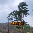 힐링골프 | 센테리움CC 4월 부부라운드⛳ 봄날 힐링 골프 데이트 리얼 후기