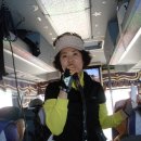 경남 창원 천주산 산행 및 진해 관광 일기(100407) 이미지
