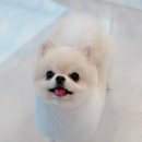 위너스 동물병원 이미지