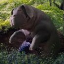 미란코퍼레이션 이미지