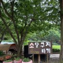 달구지농원 이미지
