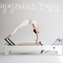 건강나누리약국 | 부평동필라테스 루미엘필라테스 부평점 가격 후기