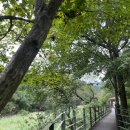 2024 건강근력 스트레칭 | 8. &lt;난소암 극복기&gt; 괜찮다, 괜찮다~ 할 수 있다, 할 수 있다 (EFT/풍욕/근력운동/명상/온살도리)