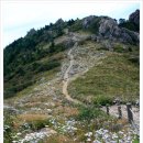 지리산천상화원 이미지
