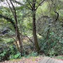 A&J오토캠핑장 이미지