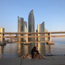 대교풍천민물장어 이미지