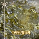 진도청정건어물 | 진도각 자연산돌미역 후기 산모미역 청등도 돌미역