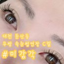 대전 둔산동 '미감각' 무쌍 속눈썹연장 잘하는 곳 내돈내산 후기