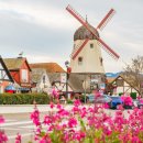 my drink museum 이미지