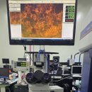 MM 소프트 이미지