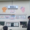 까까몽 | 대전 엑스포광장 야외스케이트장 마지막날 후기 준비물