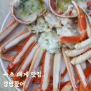 강남활어 | 속초 대포항 대게 맛집 애견동반 가능한 자연산 횟집 강남활어 솔직후기