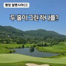홀인원펜션 | 평창 알펜시아CC 라운딩 후기 | 두 홀이 그린 하나를 나눠 쓰는 신기한 골프장(feat 포레스트, 레이크코스)