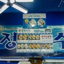 가락시장 수산시장 청청수산에서 광어회 샤샥!