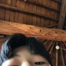 의신면 돈지1길 전남 네이버블로그