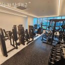 하카대구 이미지