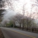 의암댐길 이미지