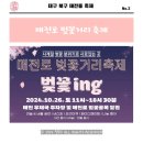 대구 칠곡 매전로 벚꽃거리 축제 24.10.26