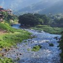 강변통나무펜션 | 피아골계곡이 선사한 자연 속 휴식 구례 펜션 구례통나무펜션 다녀와본 생생한 리뷰