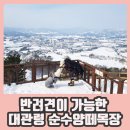 대관령동물병원 이미지