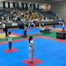 경희대안화태권도장 이미지