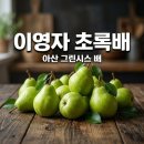 아산직매장 - 60240 | 아산 그린시스 배 전참시 이영자 초록배 가격 파는곳 완벽정리