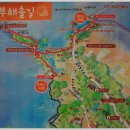 정기산행공지-2025년12월21일07시30분대부도해솔길1코스 이미지