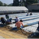 장계면사무소 이미지