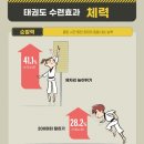 기품태권도 이미지