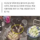 "발 넣고 뒤꿈치 벅벅"..경악 '무 세척' 그 식당, '방배족발'이었다 이미지