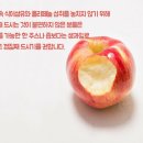 한국인이 가장 사랑하는 과일, 사과! 이미지