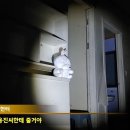 펭수마트
