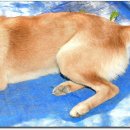 광탄한의원 이미지