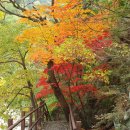 십이선여탕 이미지